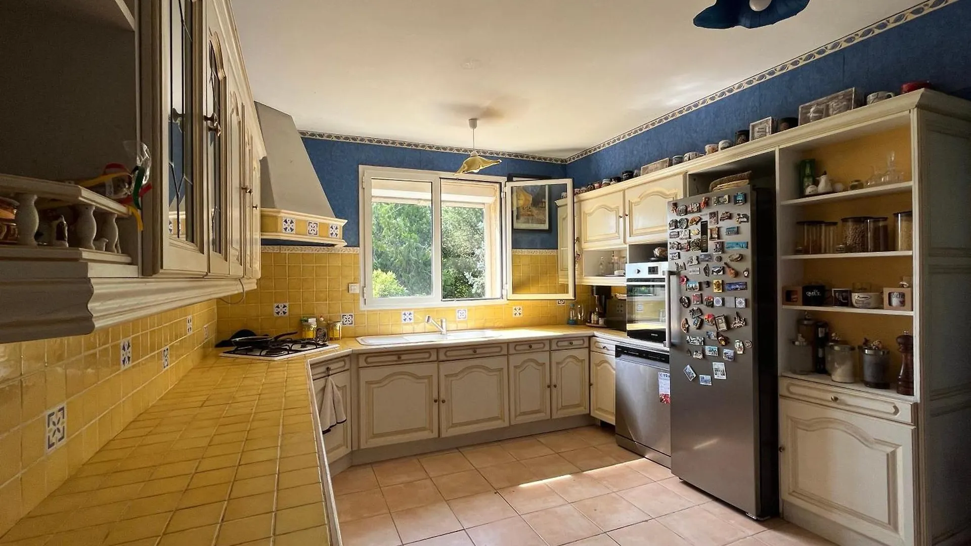 Villa Avignon La Barthelasse